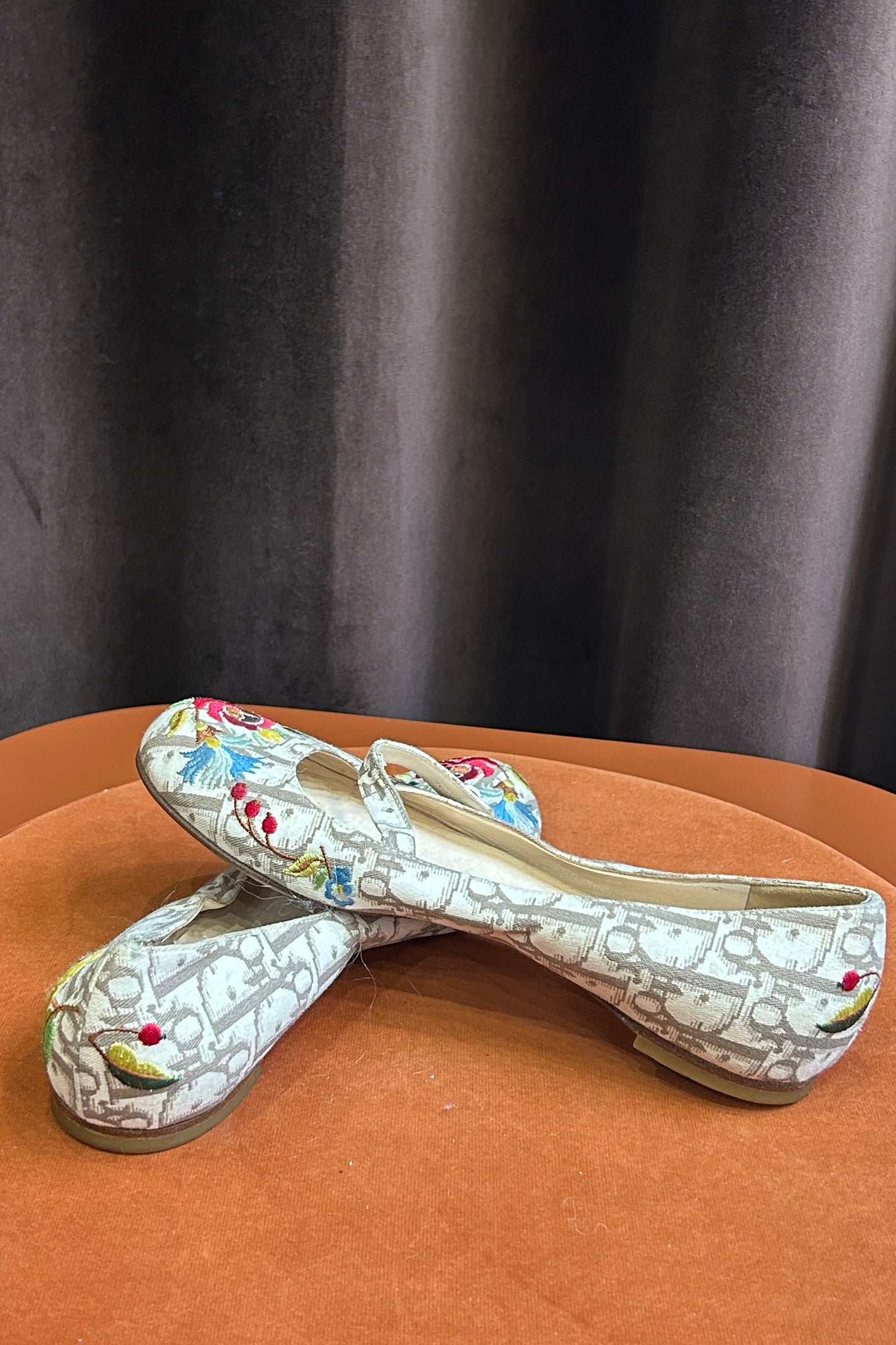 Dior Galliano 2005 “Baby” Shoes – Iconic Floral & Logo Print