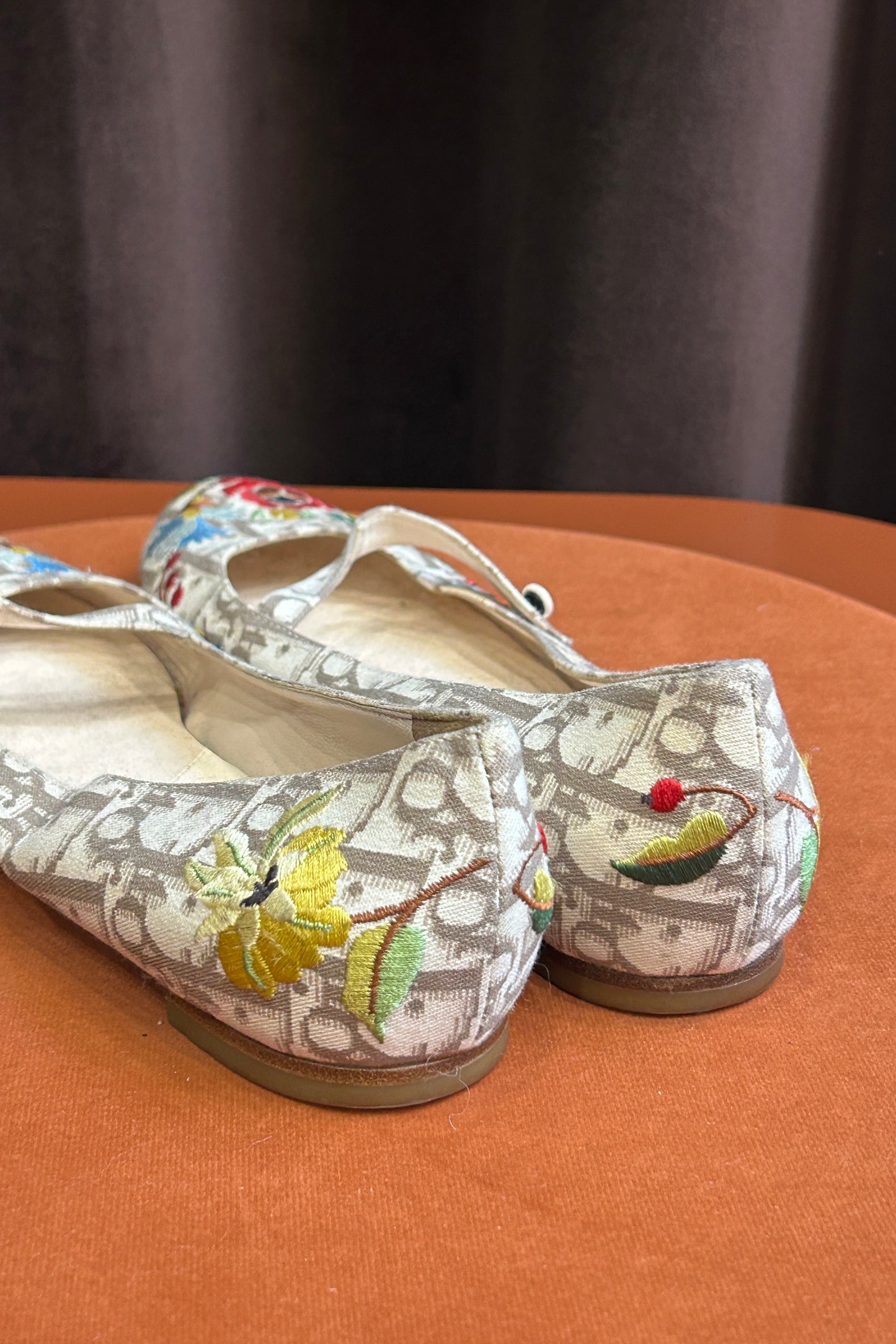 Dior Galliano 2005 “Baby” Shoes – Iconic Floral & Logo Print