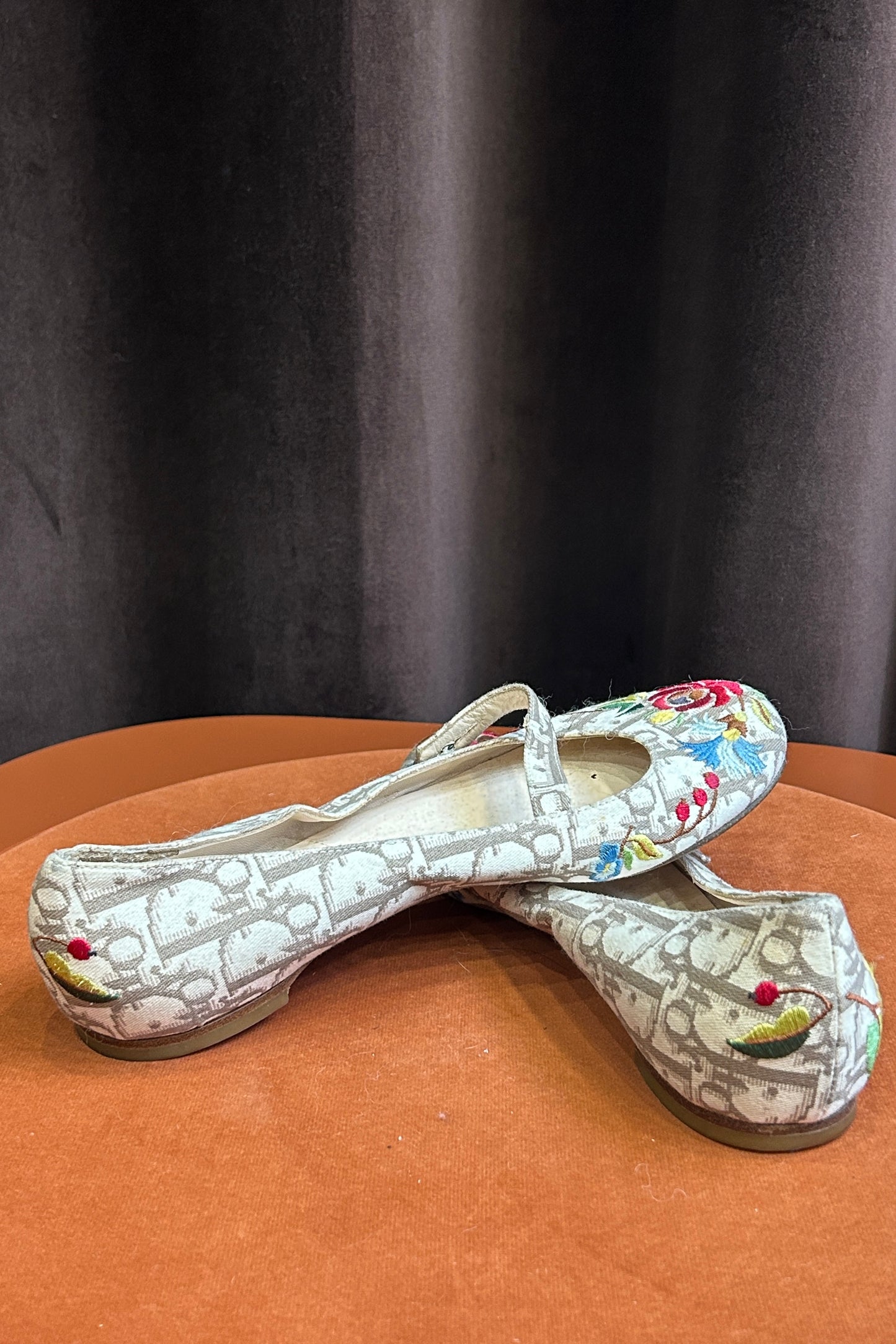 Dior Galliano 2005 “Baby” Shoes – Iconic Floral & Logo Print
